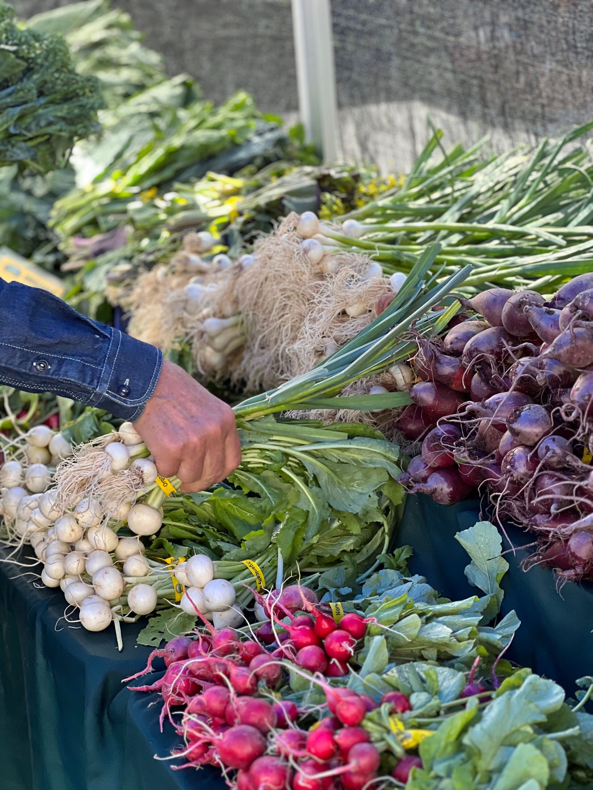 Calgary’s Farmers Markets Right Now: Peak Harvest Season